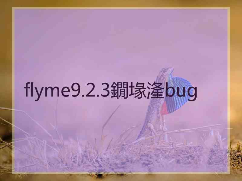 flyme9.2.3鐗堟湰bug