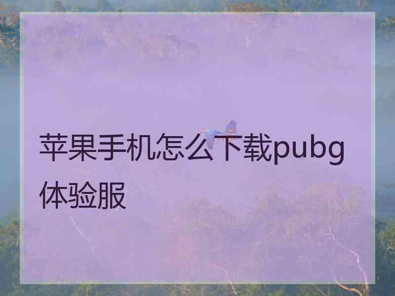 苹果手机怎么下载pubg 体验服