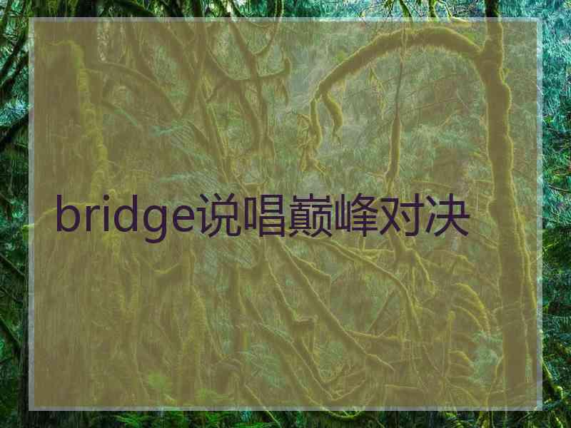 bridge说唱巅峰对决