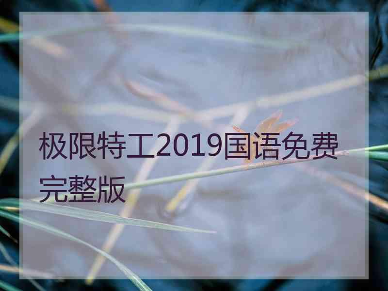 极限特工2019国语免费完整版