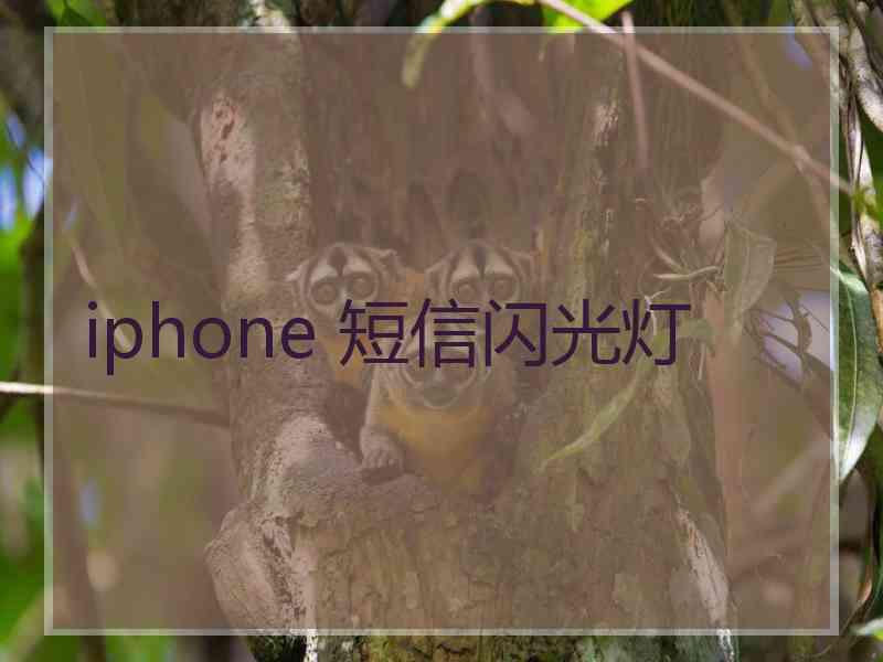 iphone 短信闪光灯