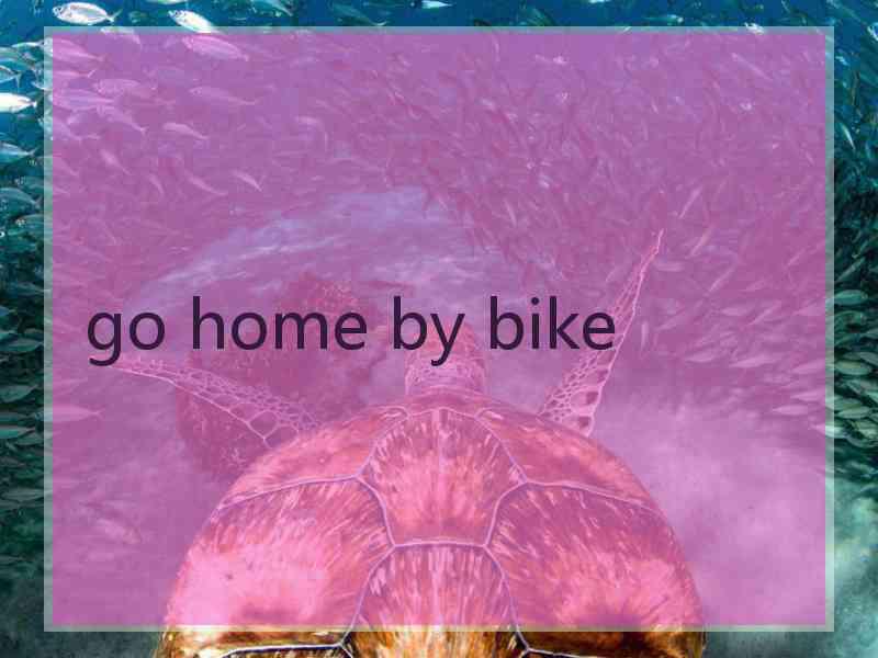 go home by bike