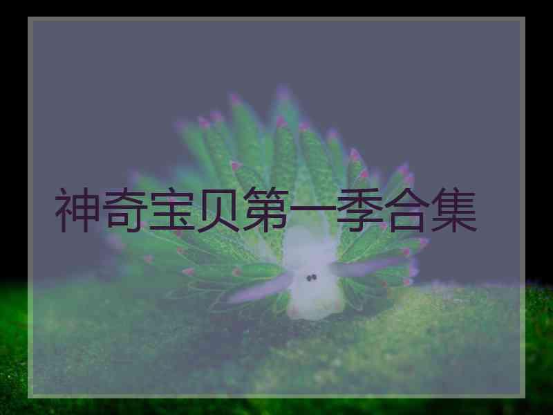 神奇宝贝第一季合集