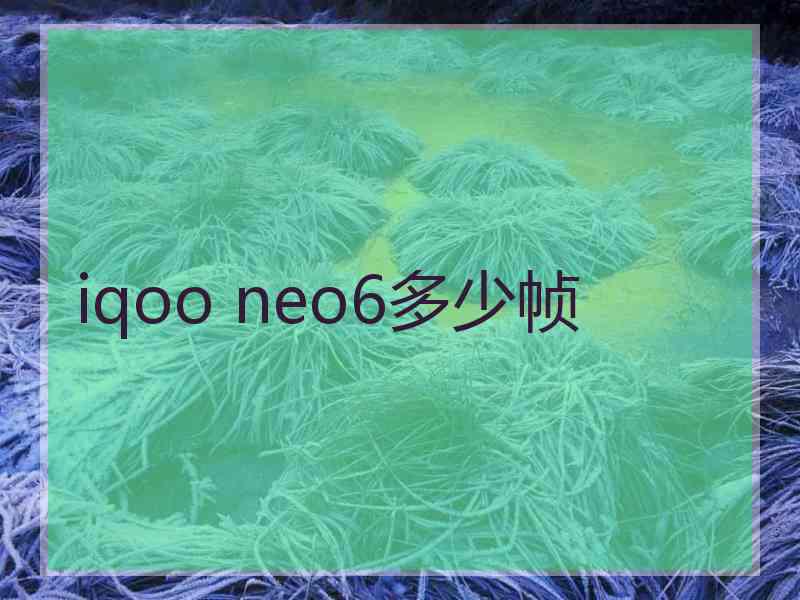 iqoo neo6多少帧