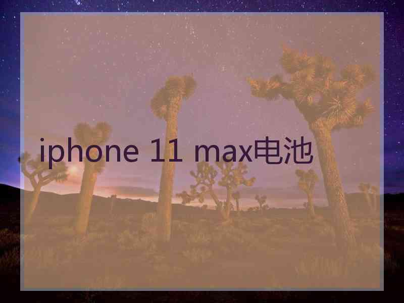 iphone 11 max电池