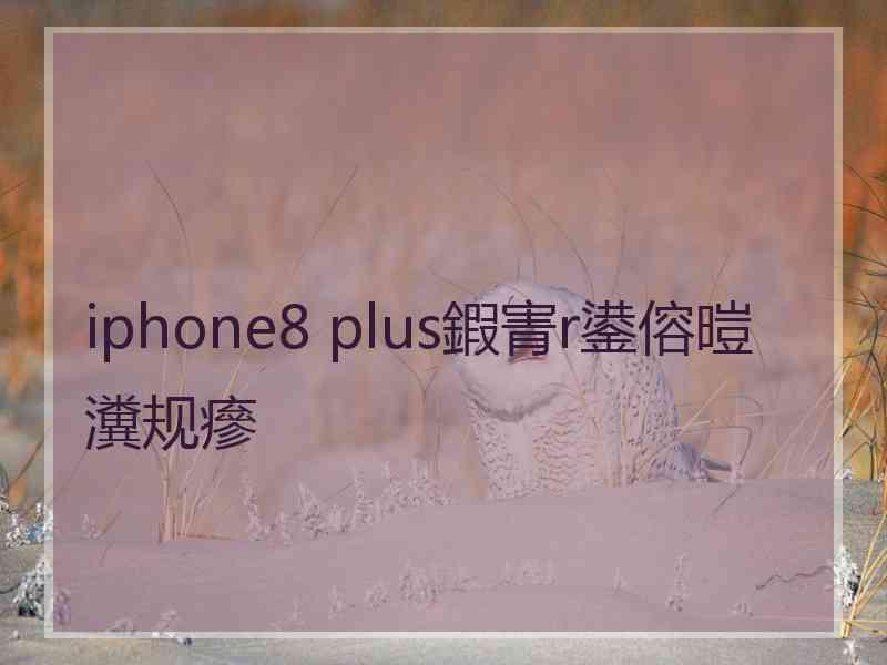 iphone8 plus鍜寈r鍙傛暟瀵规瘮