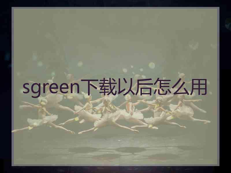 sgreen下载以后怎么用