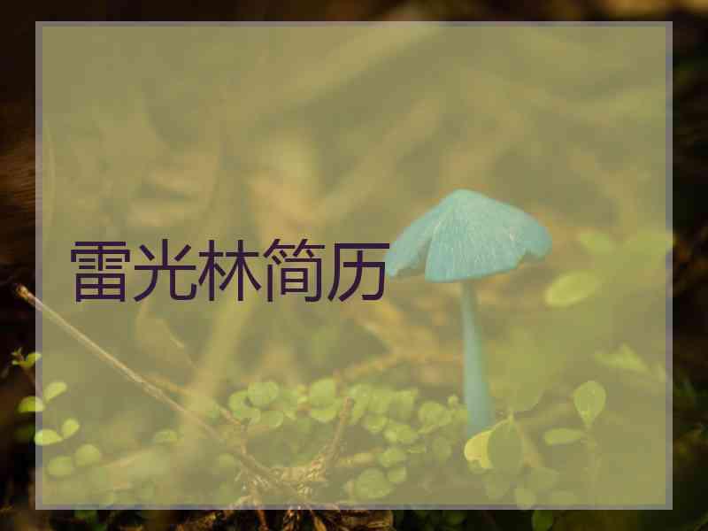 雷光林简历