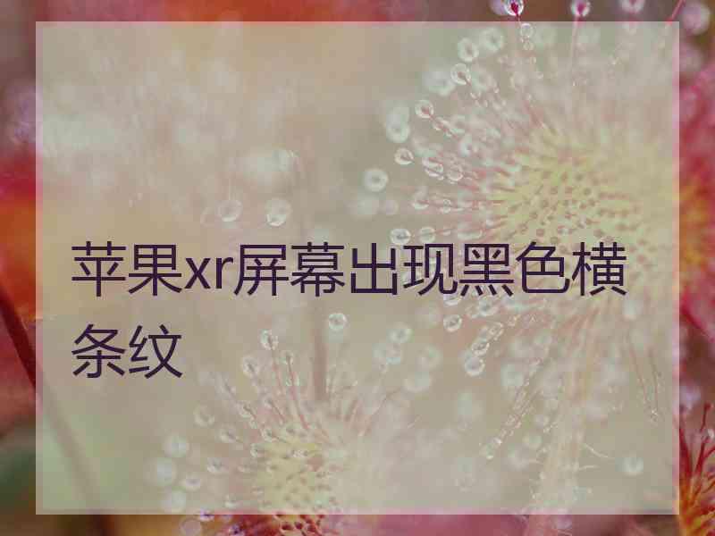 苹果xr屏幕出现黑色横条纹