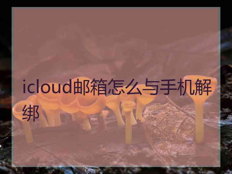 icloud邮箱怎么与手机解绑