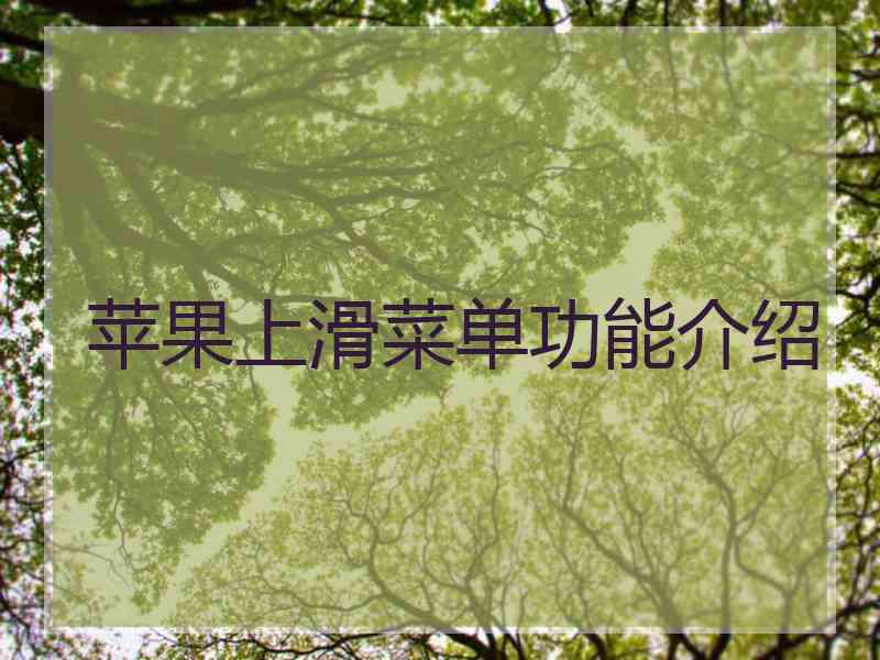 苹果上滑菜单功能介绍