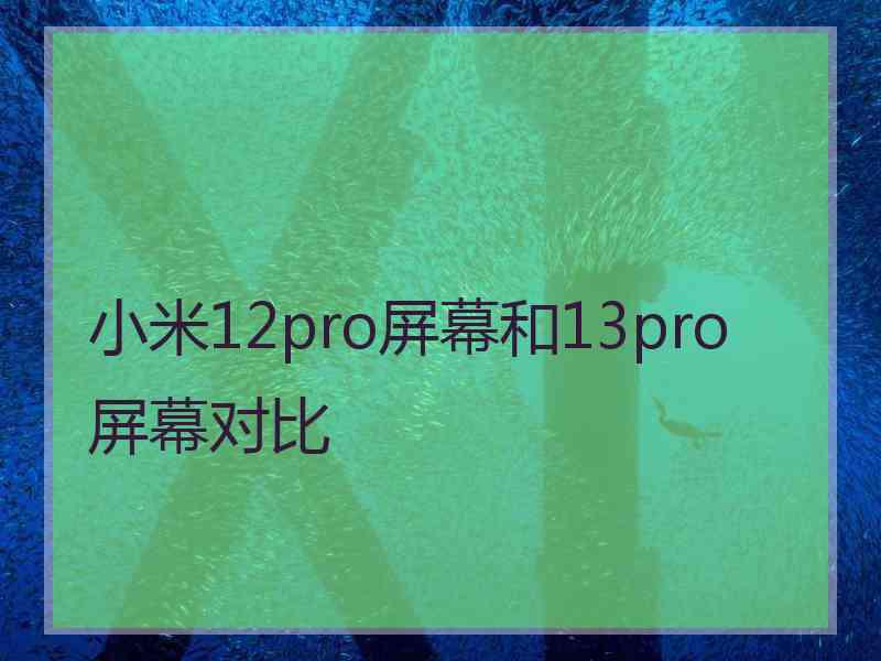 小米12pro屏幕和13pro屏幕对比