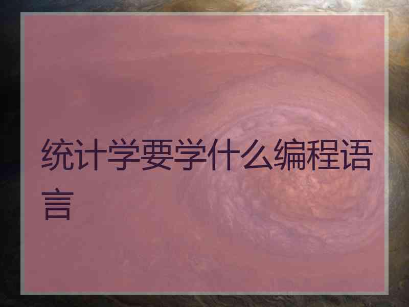 统计学要学什么编程语言