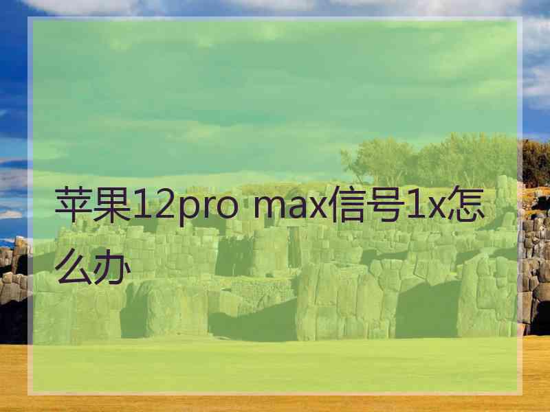 苹果12pro max信号1x怎么办