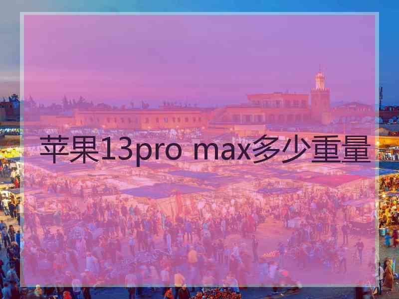 苹果13pro max多少重量