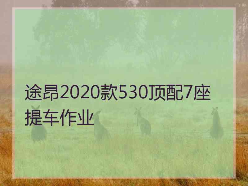 途昂2020款530顶配7座提车作业