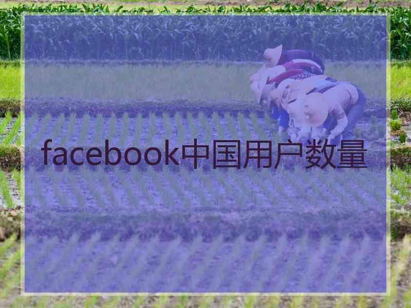 facebook中国用户数量