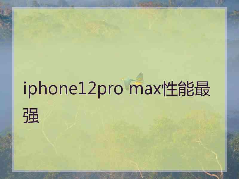 iphone12pro max性能最强