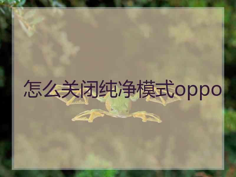 怎么关闭纯净模式oppo