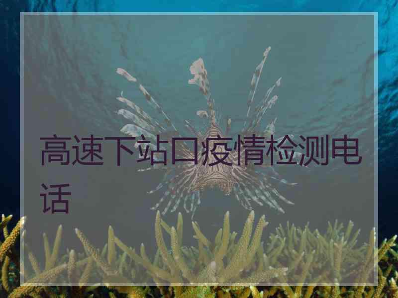 高速下站口疫情检测电话