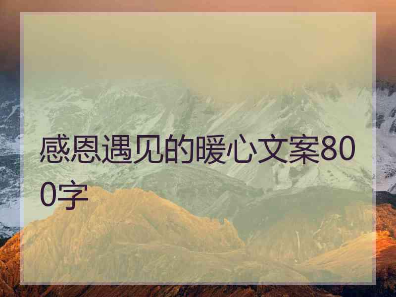 感恩遇见的暖心文案800字