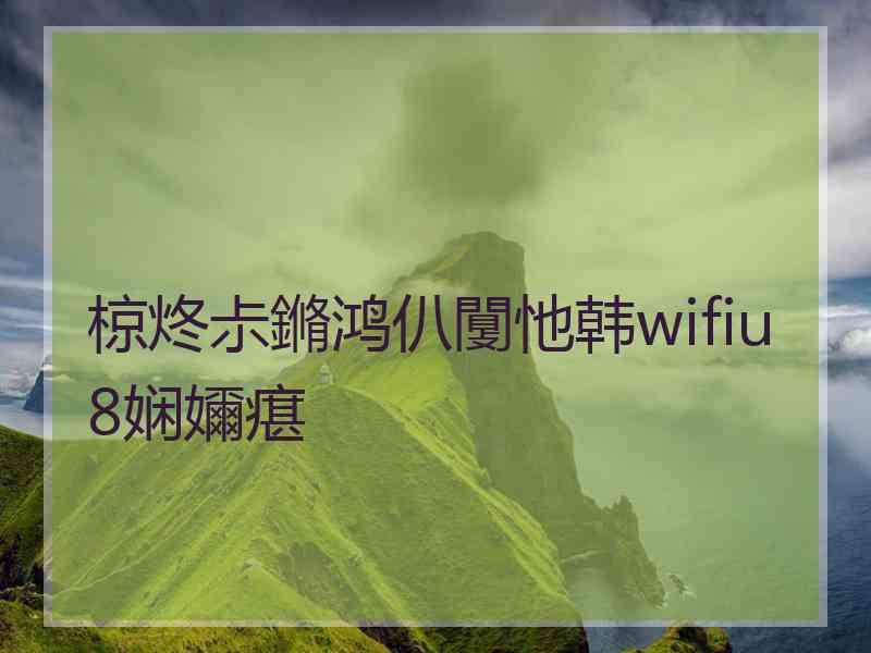 椋炵尗鏅鸿仈闅忚韩wifiu8娴嬭瘎