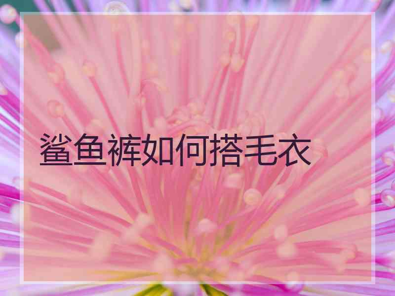 鲨鱼裤如何搭毛衣