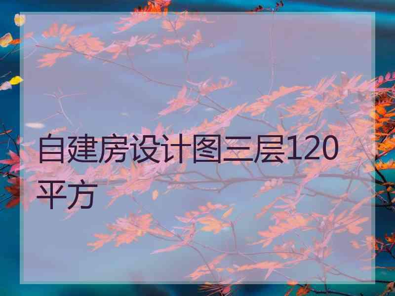 自建房设计图三层120平方