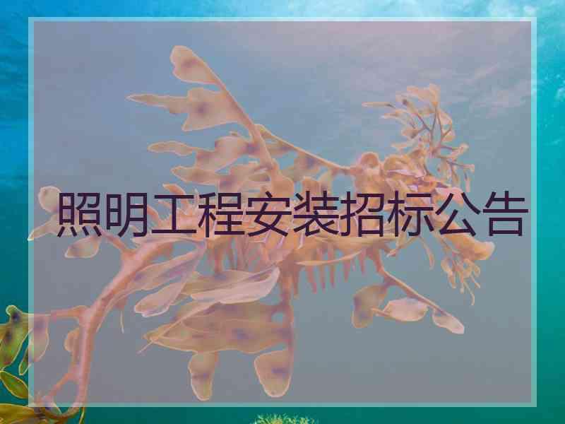 照明工程安装招标公告