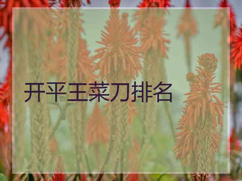 开平王菜刀排名