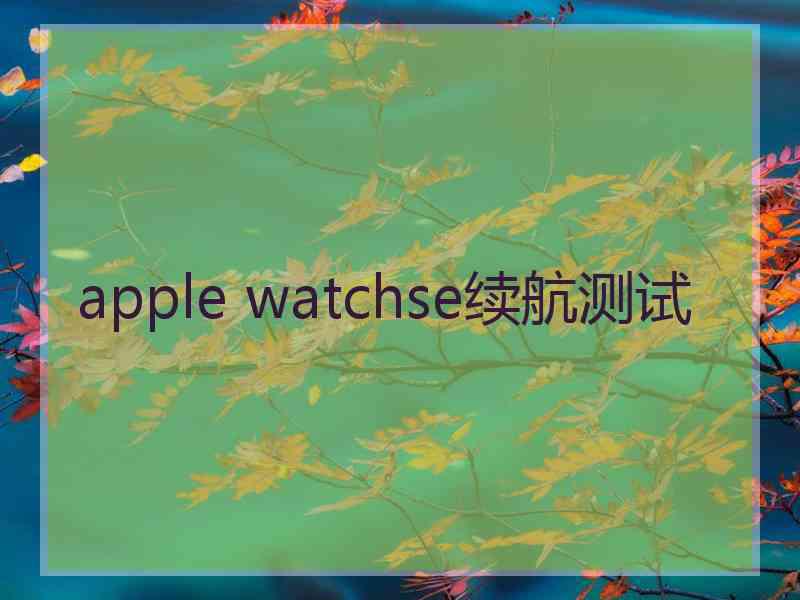 apple watchse续航测试