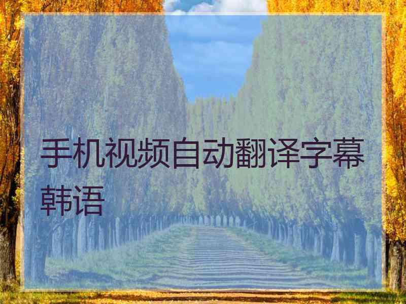 手机视频自动翻译字幕韩语