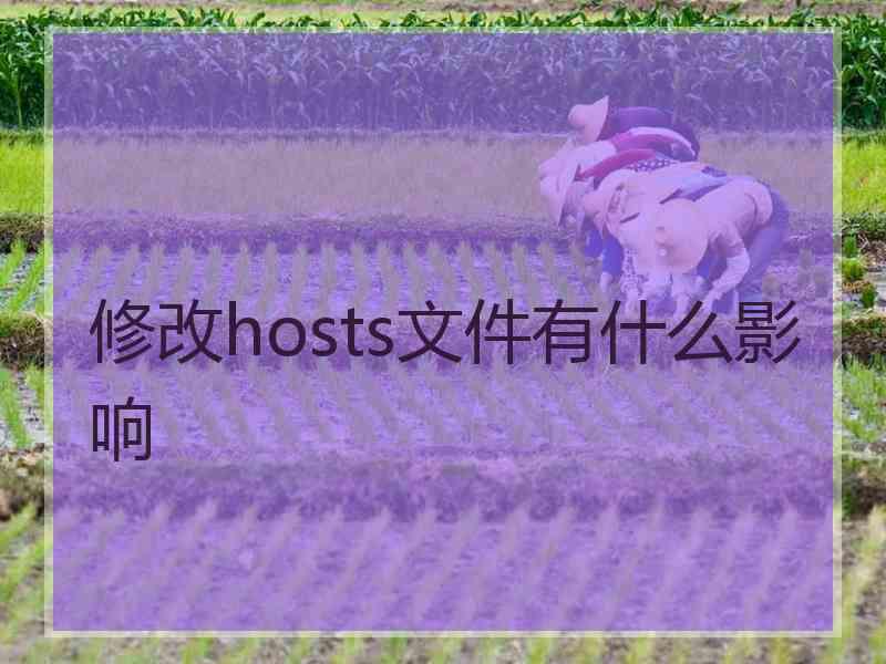 修改hosts文件有什么影响