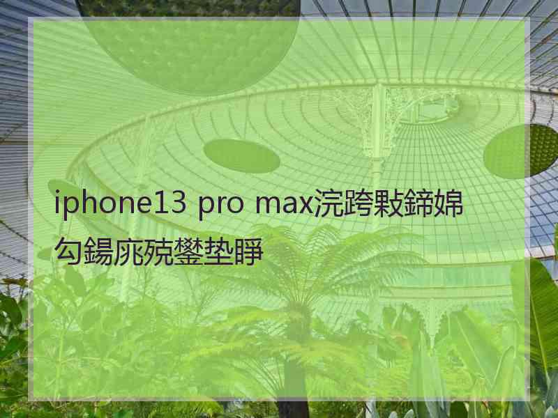 iphone13 pro max浣跨敤鍗婂勾鍚庣殑鐢垫睜