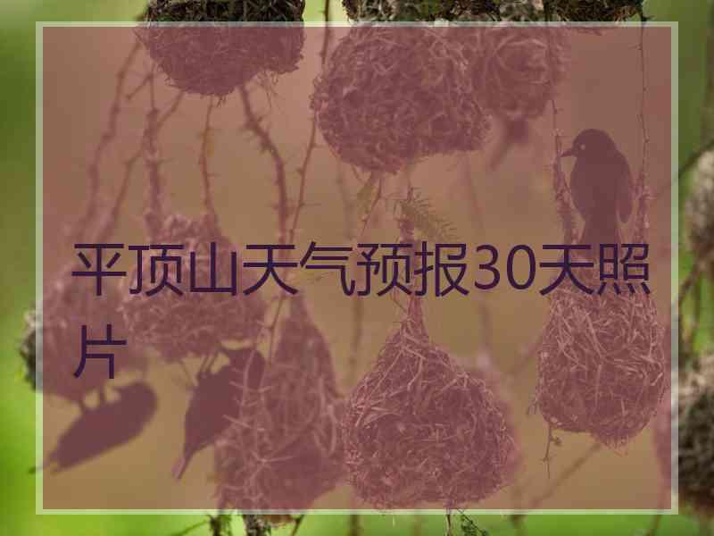 平顶山天气预报30天照片