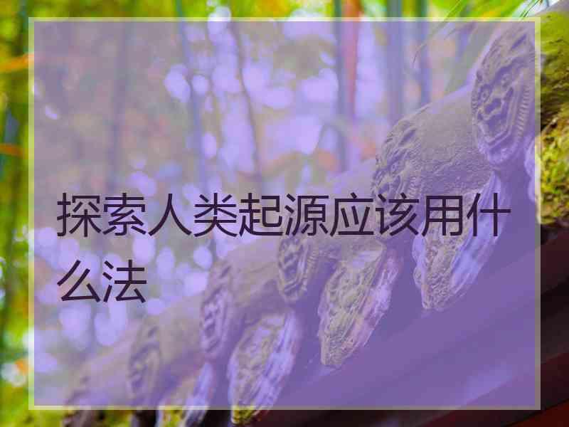 探索人类起源应该用什么法