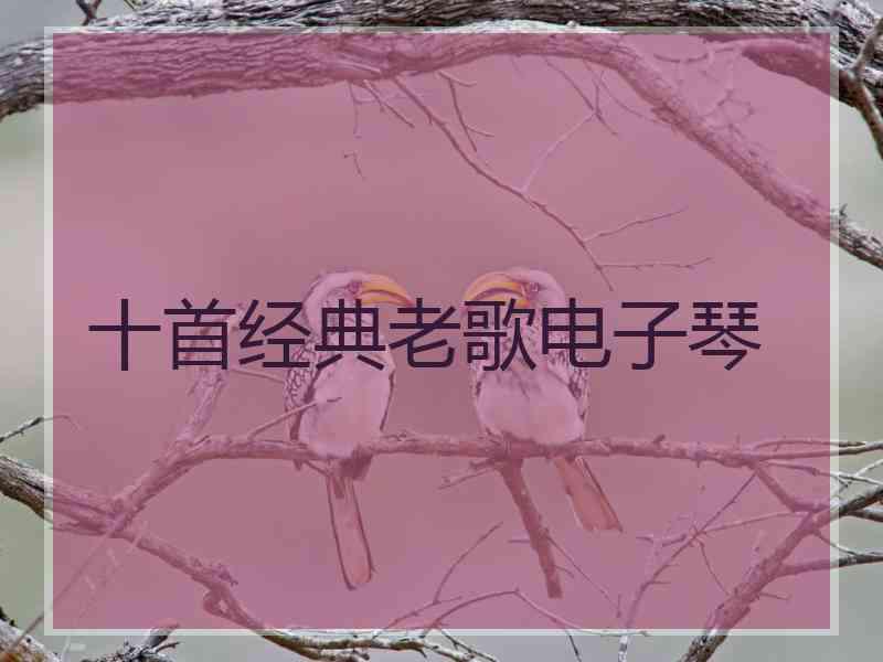 十首经典老歌电子琴