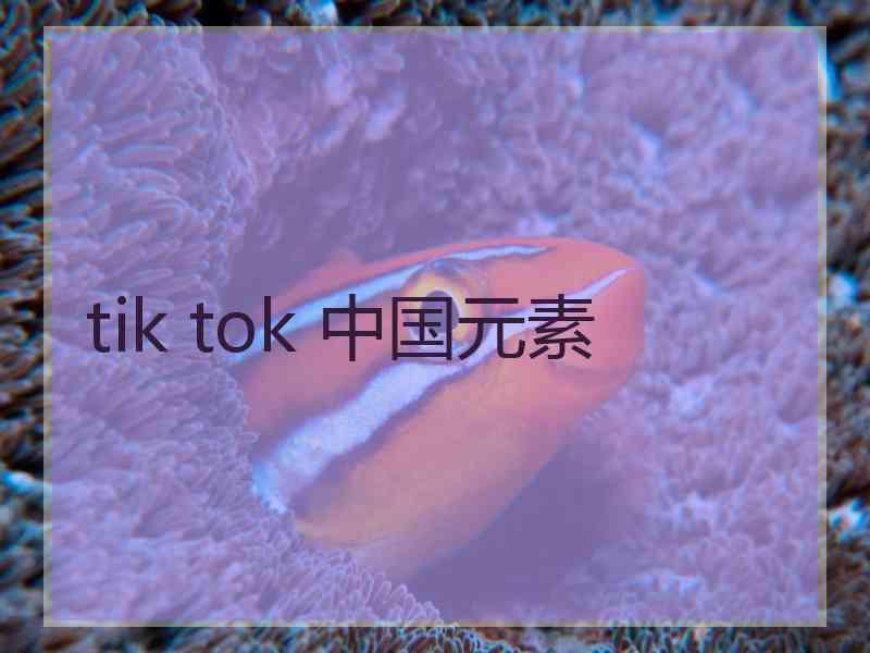 tik tok 中国元素