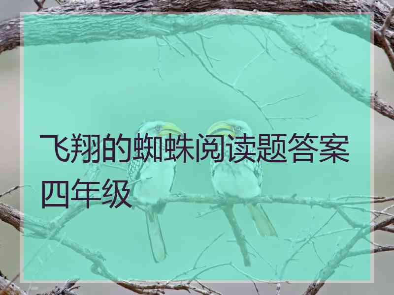 飞翔的蜘蛛阅读题答案四年级