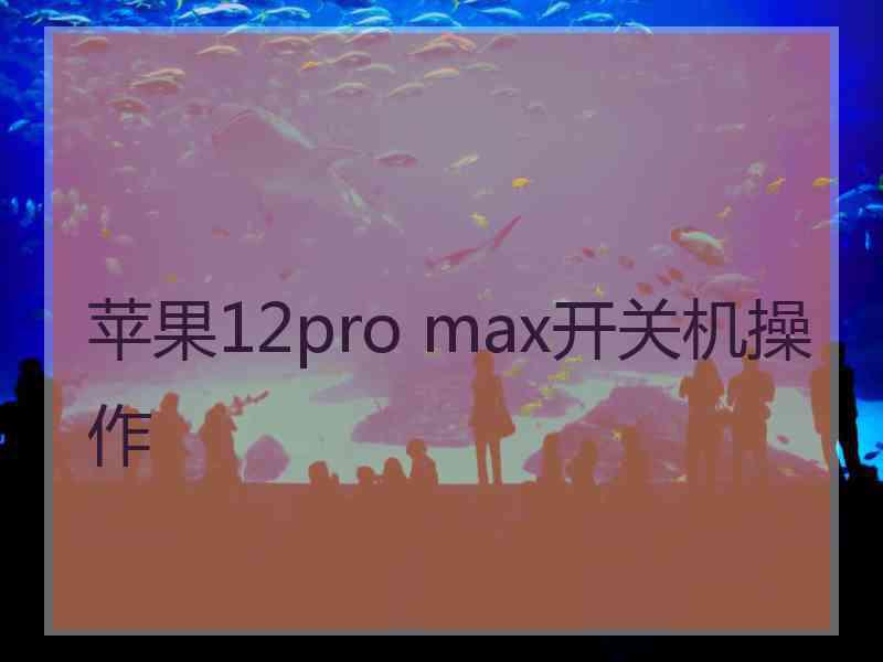 苹果12pro max开关机操作