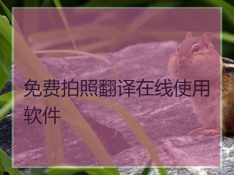 免费拍照翻译在线使用软件