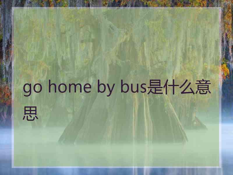 go home by bus是什么意思