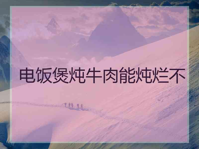 电饭煲炖牛肉能炖烂不