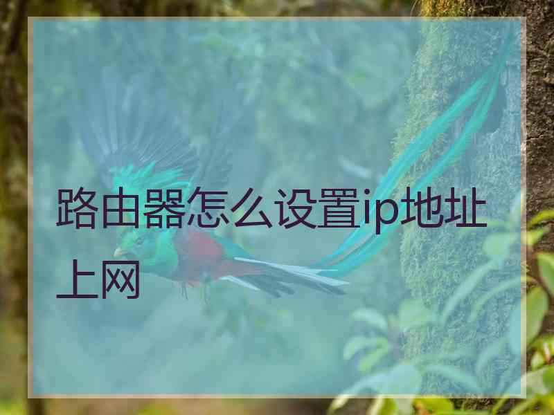 路由器怎么设置ip地址上网