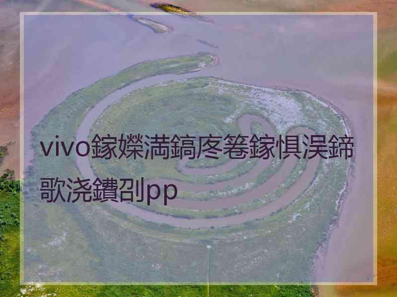 vivo鎵嬫満鎬庝箞鎵惧洖鍗歌浇鐨刟pp