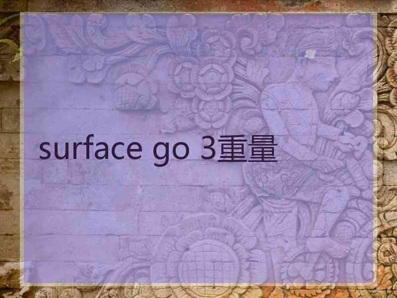 surface go 3重量