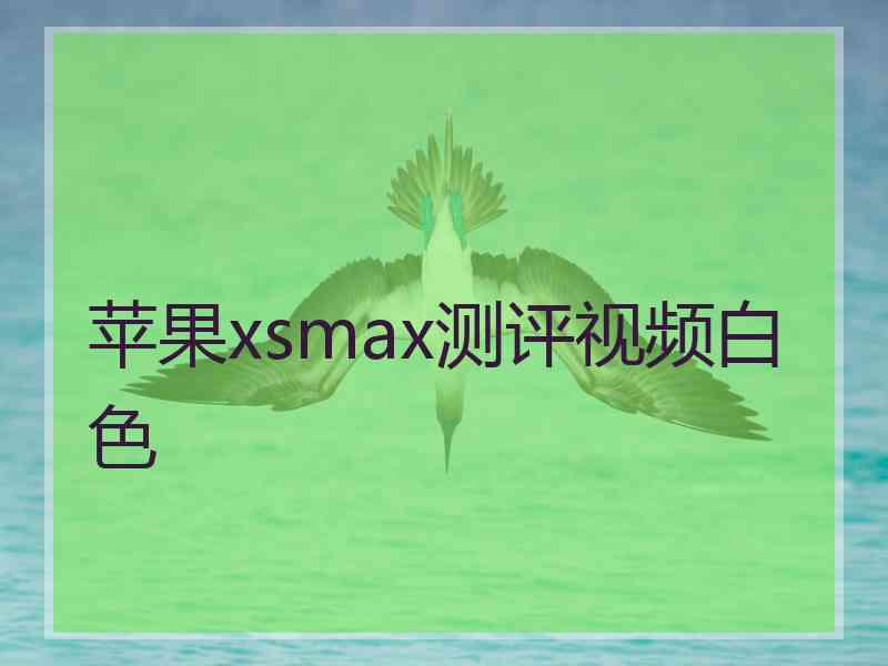 苹果xsmax测评视频白色