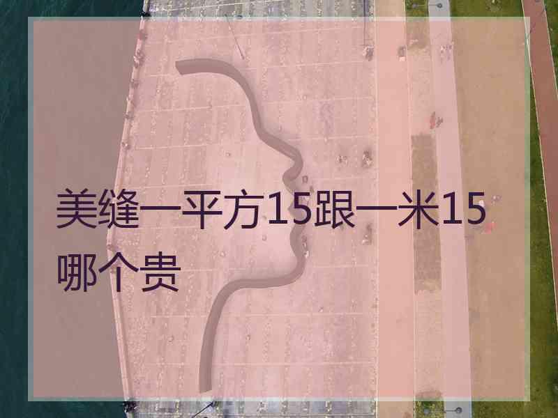 美缝一平方15跟一米15哪个贵