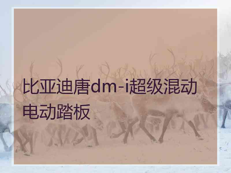 比亚迪唐dm-i超级混动电动踏板