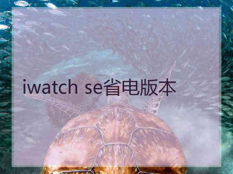 iwatch se省电版本